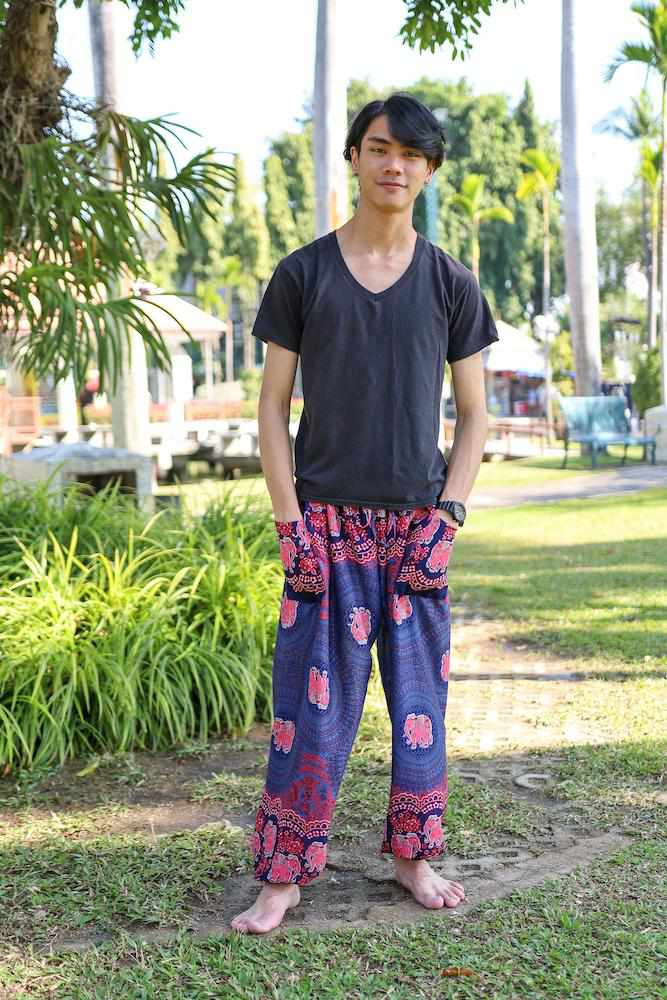 Mens Baggy Elephant Pants - Lannaclothesdesign Shop