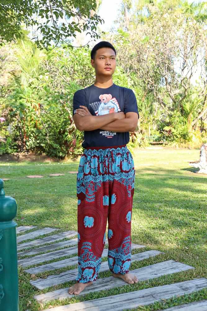 Mens Baggy Elephant Pants - Lannaclothesdesign Shop